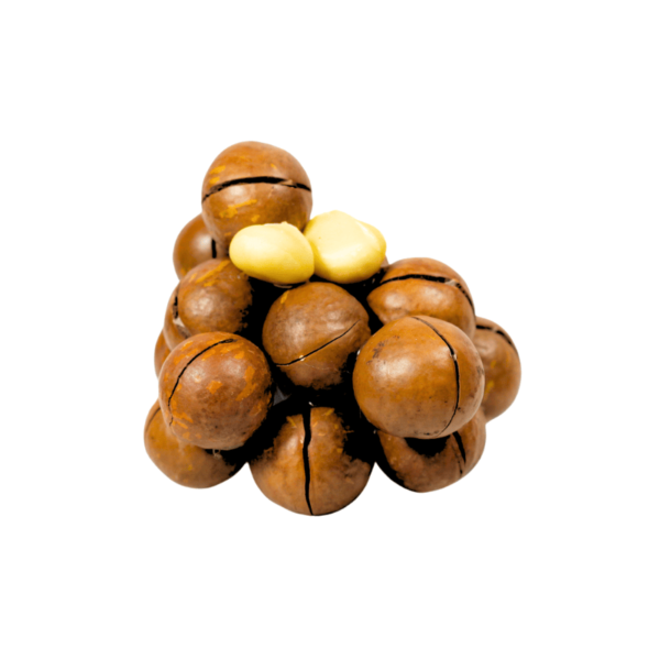 Macadamia Nuts