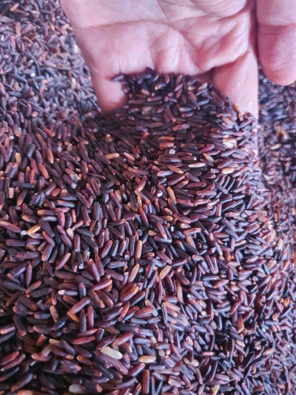 SATY Purple Rice - Image 3