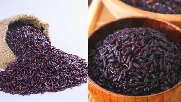 SATY Purple Rice - Image 2